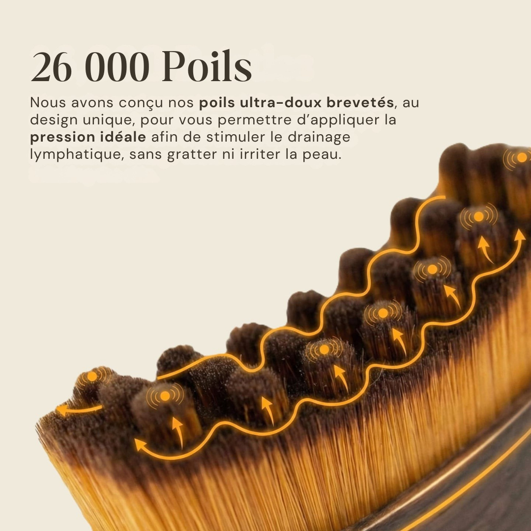 Brosse de drainage lymphatique